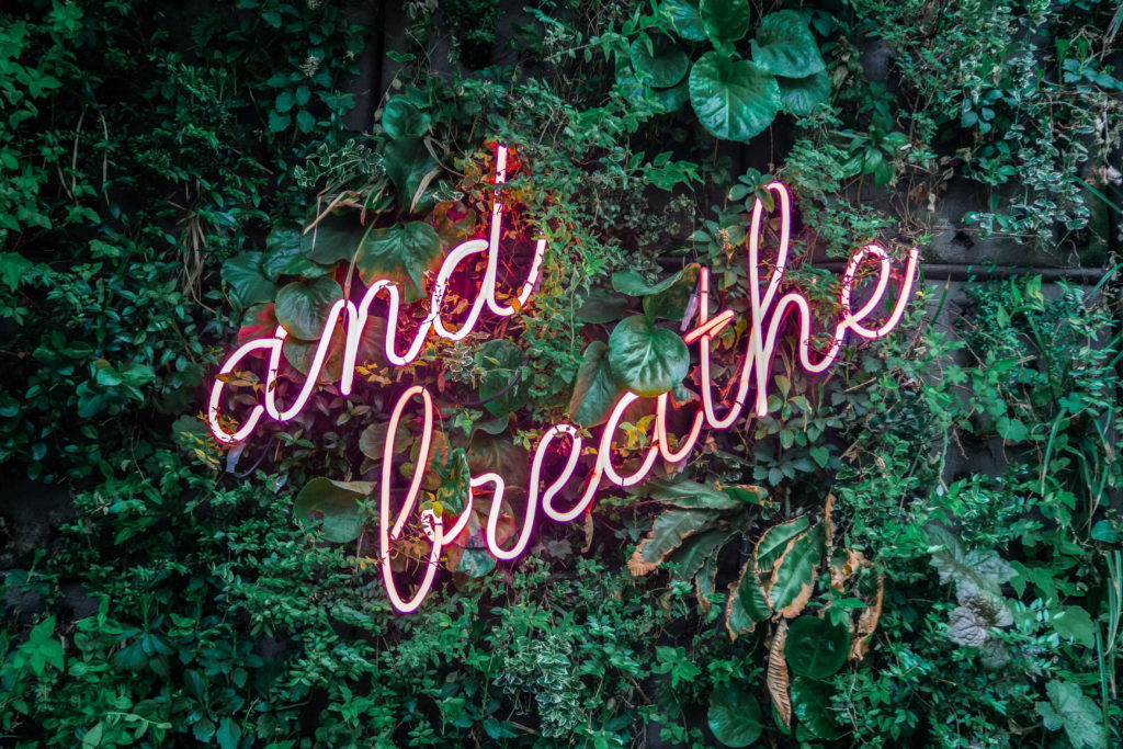 Neon sign reads "and breathe" in front of a lush, green vertical garden wall. Breath is an important way to improve lymphatic movement.
